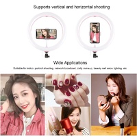 30cm Usb Dual Colour Led Ring Light with Phone Clamp - Black thumbnail