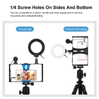 3-In-1 Vlogging Kit With Smartphone Rig Microphone And Led Ring Light - Red thumbnail