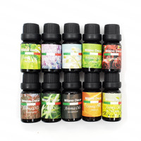 10 Pack Aroma Diffuser Oils Aromatherapy Fragrance 10ml Gift Maroon