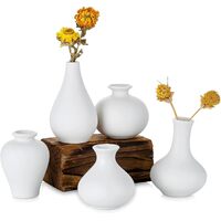 Ceramic Set of 5 White Vases for Home D�cor