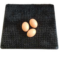 Cheeky Chooka Nesting Box Egg Mat