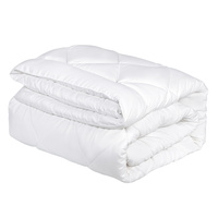 Microfiber/Bamboo Blend, Hypoallergenic &amp; Antibacterial Quilt - Queen