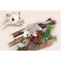 Feather Tail Glider 22cm L