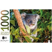 Koala Australia - Mindbogglers 1000 Piece Puzzle