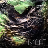 Poison Stream - Moat Cd Album
