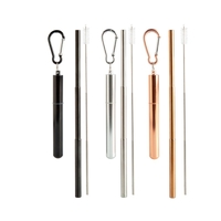 Extendable Straw And Brush Kit  (SENT AT RANDOM)