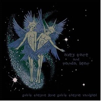 Spirit Theyre Gone Spirit They - Animal Collective Cd Album