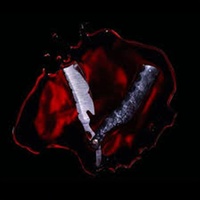Bleeders - Black Veil Brides Cd Album