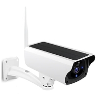 BDI Y4P Security WiFi Camera with Solar &amp; Battery