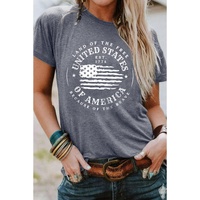 Gray United States Of America Flag Graphic Print T Shirt - XL