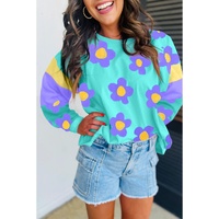 Sky Blue Floral Color Block Long Sleeve Loose Top - L