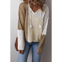 Brown Colorblock Hollow-out Front Tie V Neck Lightweight Sweater - L