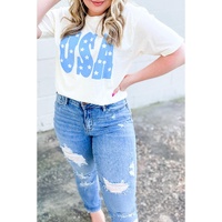Sky Blue USA Graphic Crewneck Plus Size Patriotic Tee - 3X