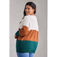 Brown Plus Size Ribbed Trim Color Block Sweater - 1X