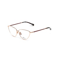 Belstaff Women's Black Titanium Frames - One Size