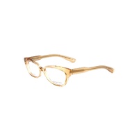 Bottega Veneta Women's Brown Acetate Frames - One Size