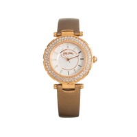 Folli Follie Women's Brown Leather Watch - One Size