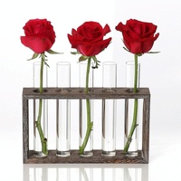Minimalist Hydroponic Glass Vase with Wooden Frame for Coffee Shop Decor