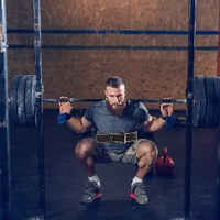 Weight Lifting Belt Pro Training Large