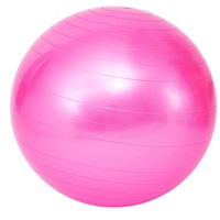 Pink 65cm Anti-Burst Yoga Exercise Ball for Pilates &amp; Core Strength