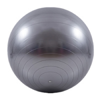 Grey 65cm Anti-Burst Yoga Exercise Ball for Pilates &amp; Core Strength