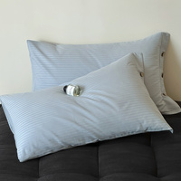 Blue Pinstripe Long Staple Cotton Sateen Pillowcase Set - Jacquard Striped, Pure Cotton, 48x74cm (Pair)