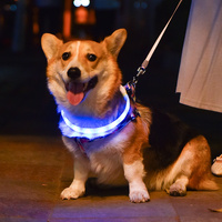 Colorful Rechargeable LED Pet Collar - Adjustable, Glow-in-Dark Safety for Dogs &amp; Cats