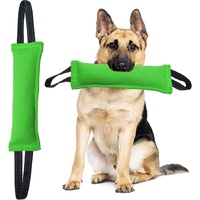 Green Durable 2-Pack Tug-of-War Dog Training Toy - Tear-Resistant, Safe &amp; Interactive for All Breeds