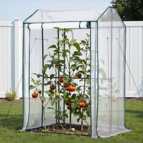 Green Fingers Mini Greenhouse PE Cover Green House Roll-Up Zippered Door 1.0x0.8x1.5M - Main Image