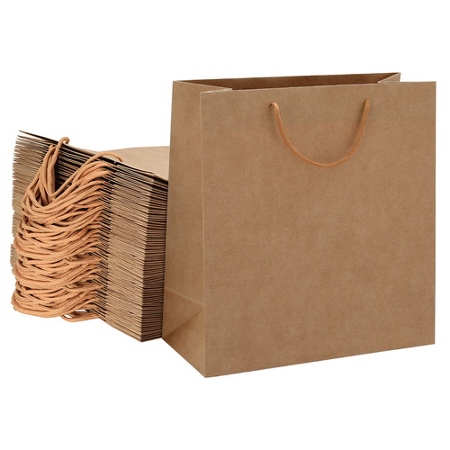 50pcs Bulk Kraft Paper Bags Pack Brown Shopping Retail Gift Bags Reusable Brown - Main Image