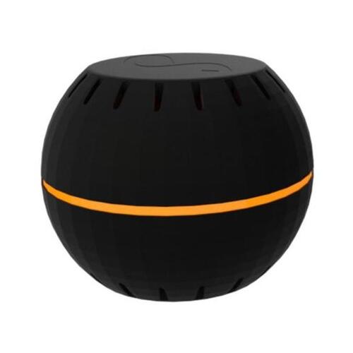 SHELLY H&T B - Main Image