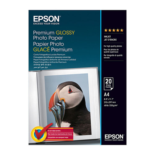 EPSON S041287 Glossy Paper A4 - Main Image