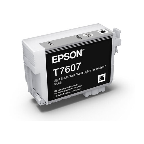 EPSON 760 Light Black Ink Cartridge - Main Image