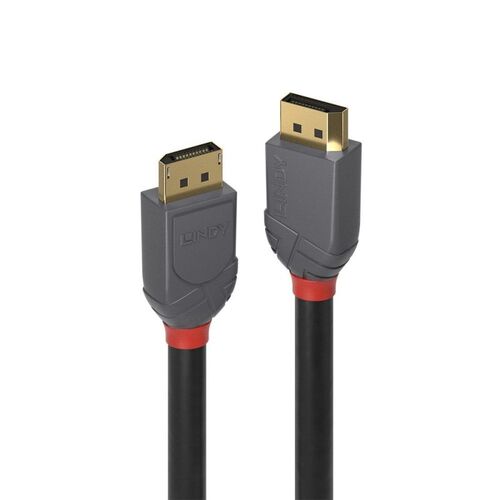 LINDY .5m DP 1.4 Cable Anthra Line - Main Image