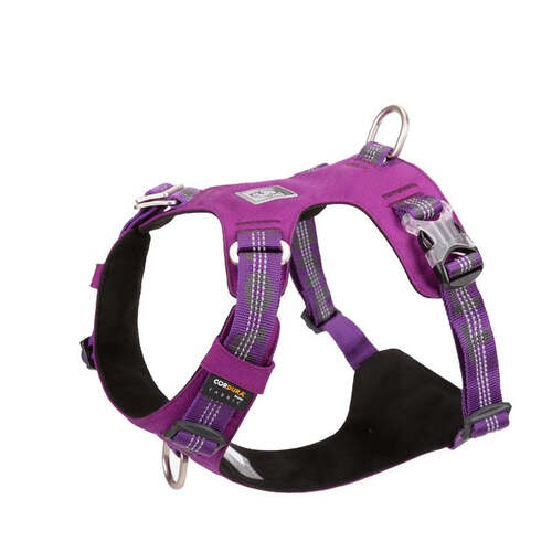 Lightweight 3M reflective Harness Purple 2XS - Main Image