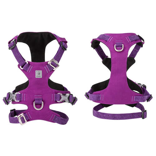 Whinhyepet Harness Purple XS - Main Image