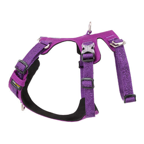 Whinhyepet Harness Purple XL - Main Image