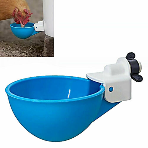 Cheeky Chooka DIY Poultry Drinker Cups 4pk - Main Image