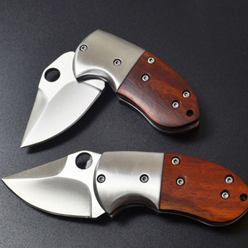 Small Mini Stainless Steel Folding Pocket Knife Keychain Blade Outdoor Survival Tactical Camping - Main Image