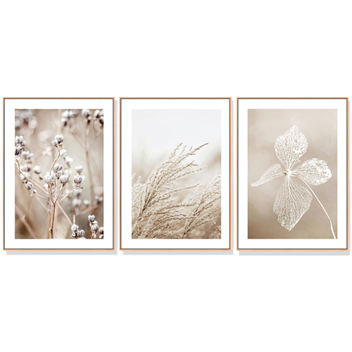 Wall Art 50cmx70cm Dried Flower 3 Sets Wood Frame Canvas - Main Image
