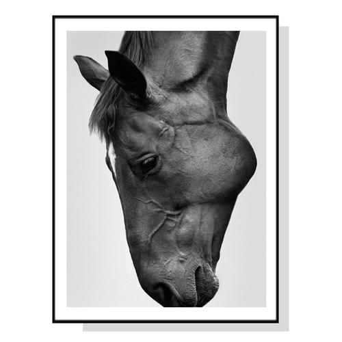 Wall Art 60cmx90cm Modern Black Horse Black Frame Canvas - Main Image