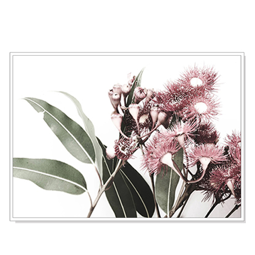 Wall Art 70cmx100cm Eucalyptus in Bloom White Frame Canvas - Main Image