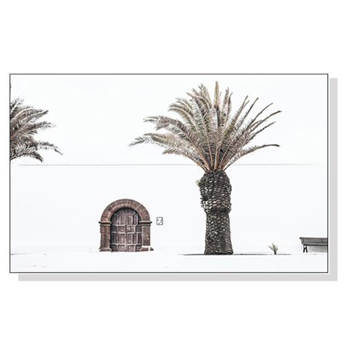 Wall Art 70cmx100cm European Palm Tree White Frame Canvas - Main Image