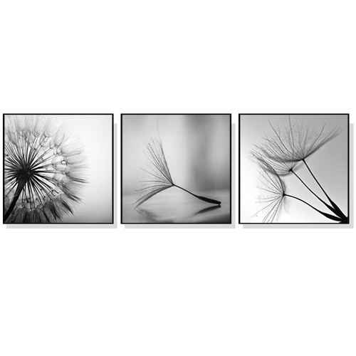 Wall Art 50cmx50cm Botanical dandelions 3 Sets Black Frame Canvas - Main Image