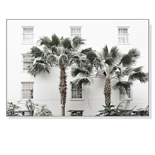 Wall Art 50cmx70cm Palm Tree White Frame Canvas - Main Image