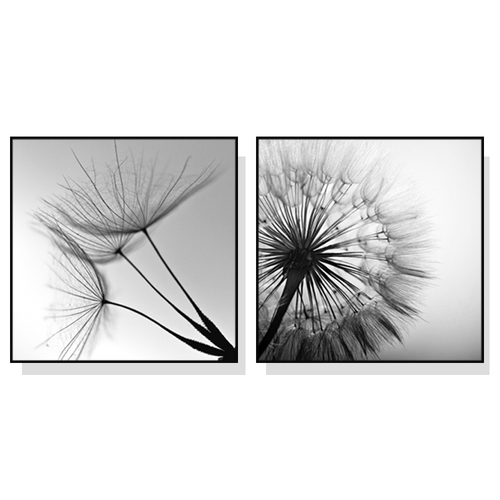 Wall Art 40cmx40cm Black and white dandelion 2 Sets Black Frame Canvas - Main Image