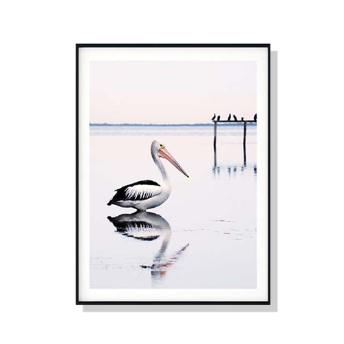 Wall Art 100cmx150cm Pelican Black Frame Canvas - Main Image