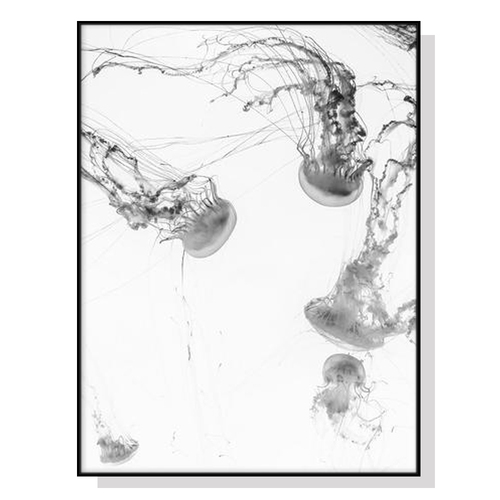 Wall Art 80cmx120cm Jellyfish Black Frame Canvas - Main Image