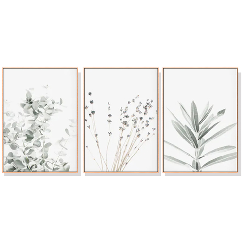 Wall Art 40cmx60cm Lavender Eucalyptus 3 Sets Wood Frame Canvas - Main Image