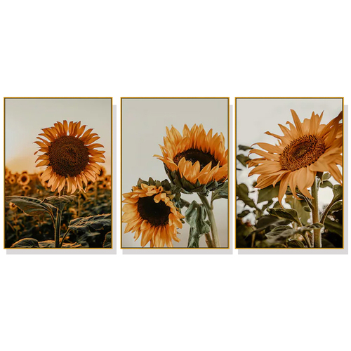 Wall Art 80cmx120cm Sunflower 3 Sets Gold Frame Canvas - Main Image